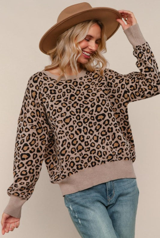 Leopard Sweater Top-Shirts & Tops-Haptics-Three Birdies Boutique, Women's Fashion Boutique Located in Kearney, MO