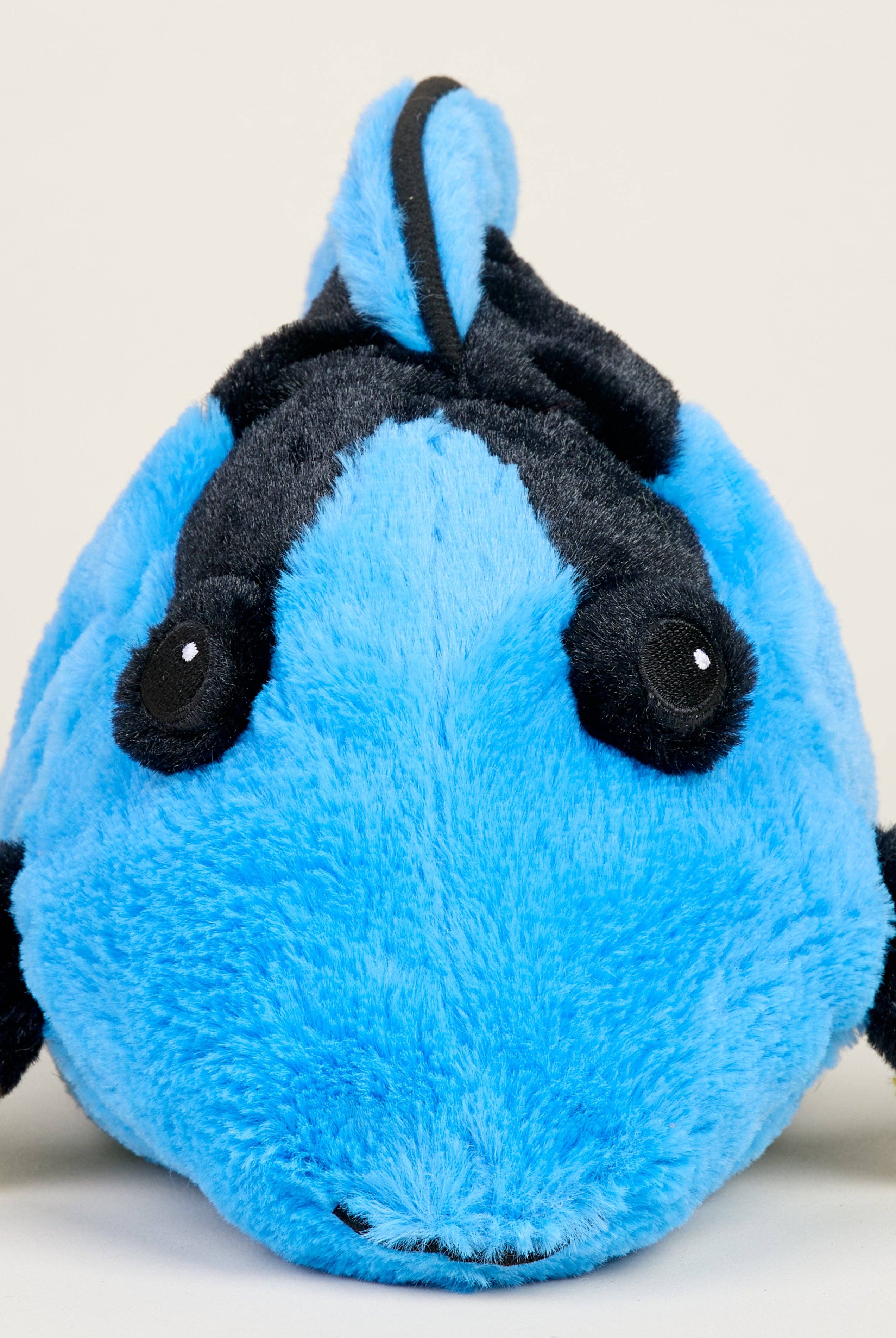 Blue Tang Warmies { product_type }}