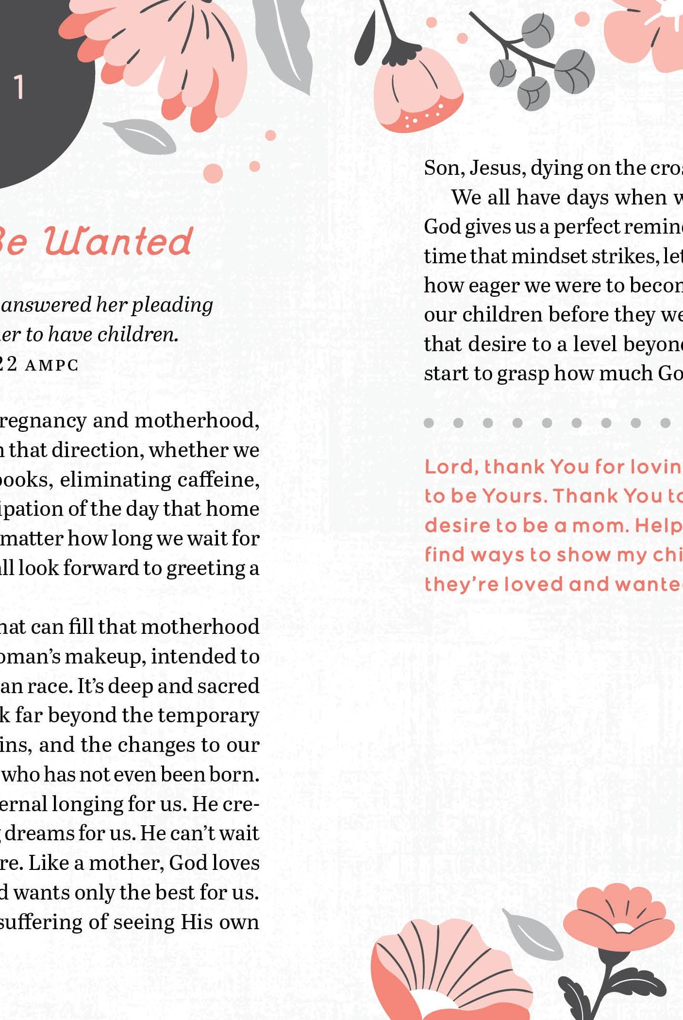 The 100-Day Devotional for Moms { product_type }}