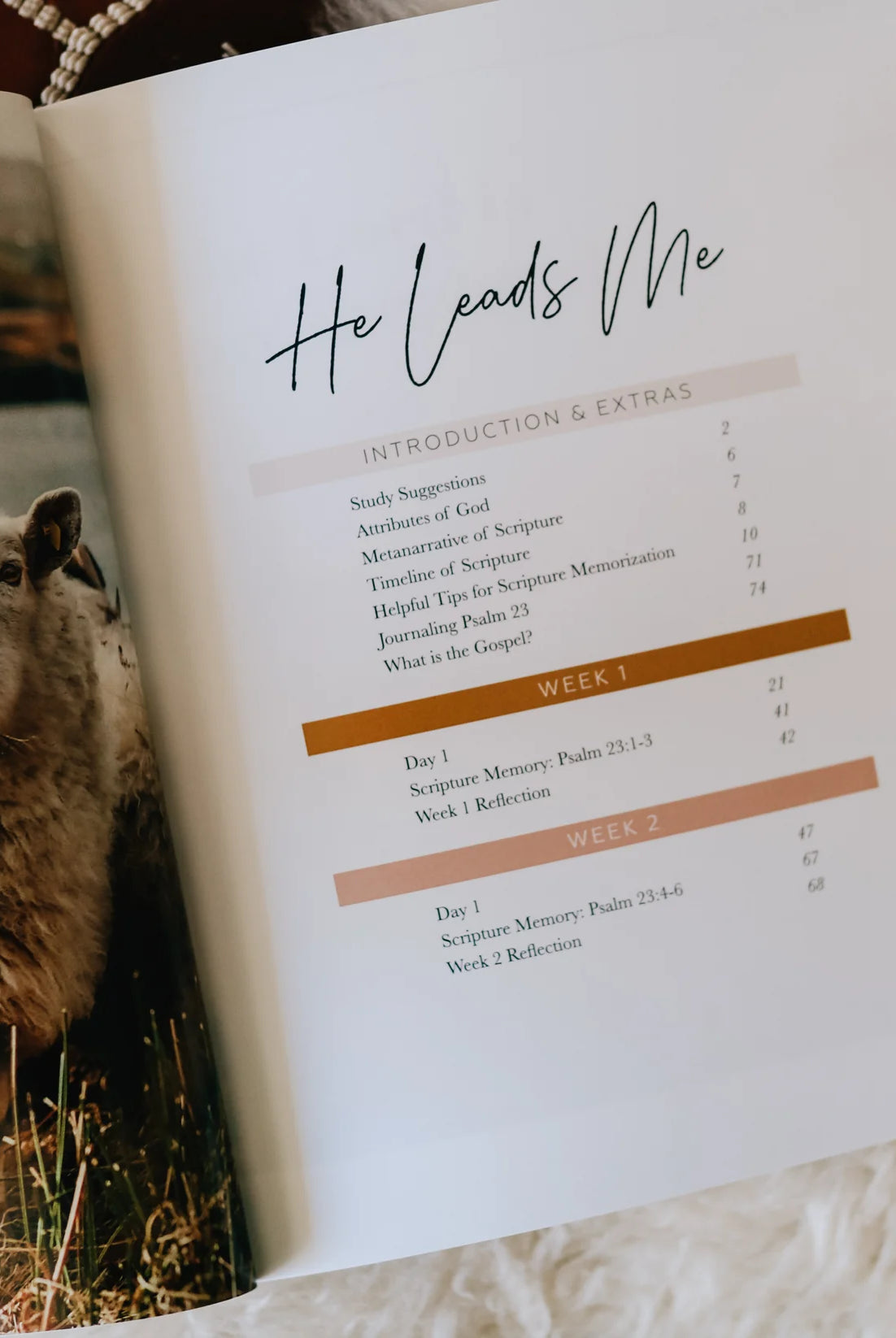 He Leads Me | Psalm 23 { product_type }}