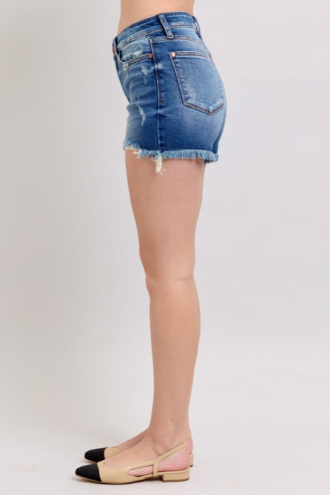 Dad Shorts 2 Button with Destroy { product_type }}