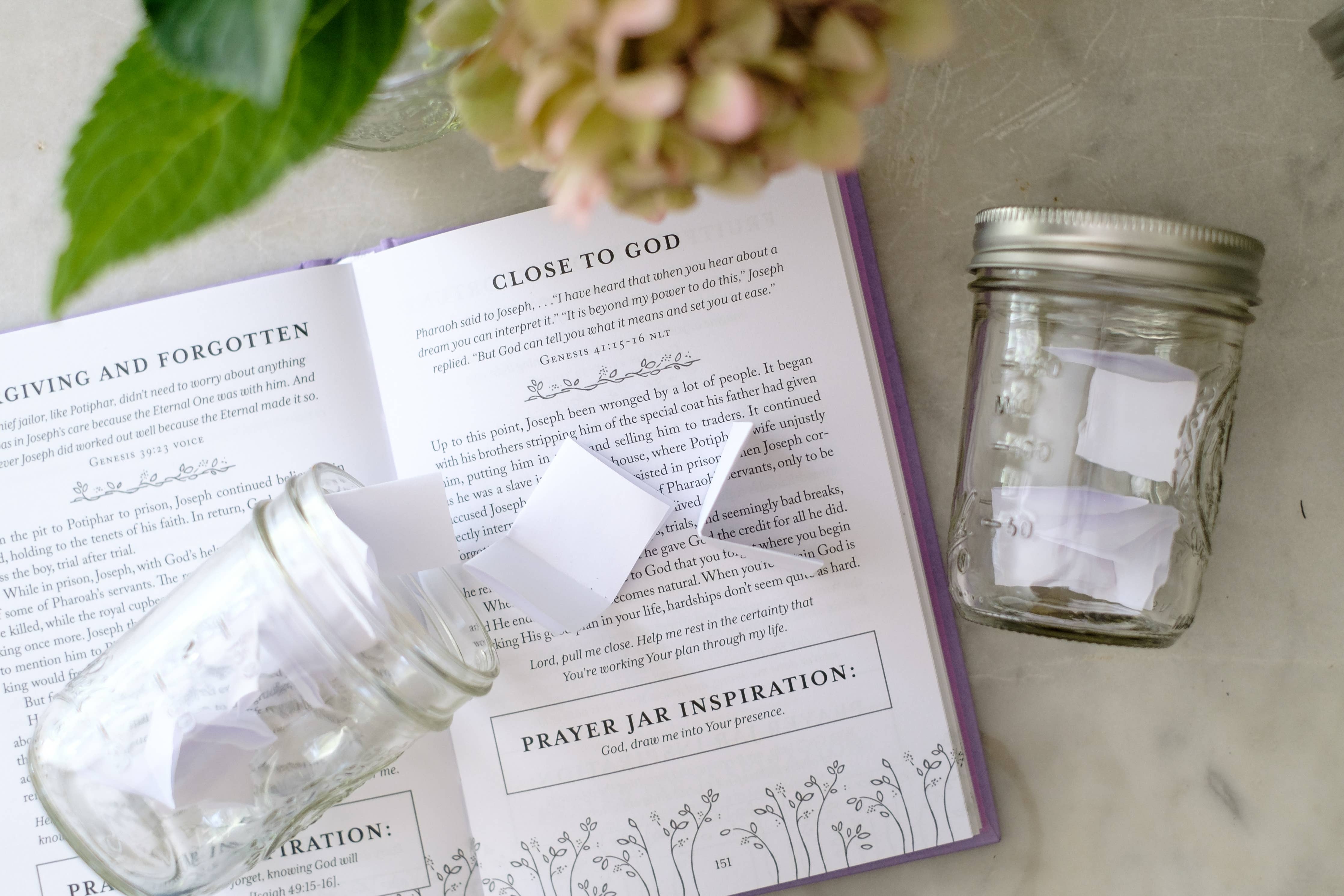 The Prayer Jar Devotional: FORGIVENESS { product_type }}