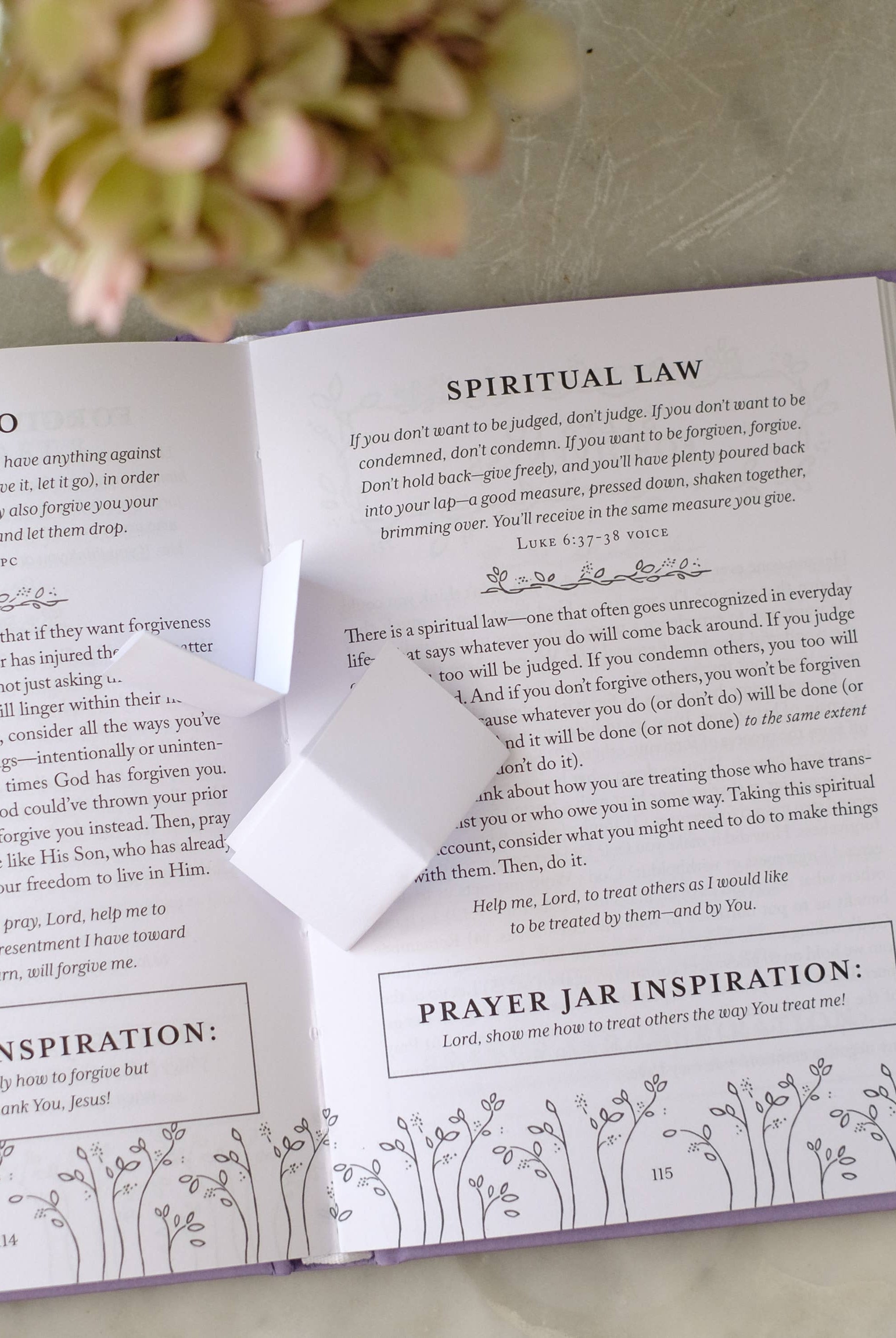 The Prayer Jar Devotional: FORGIVENESS { product_type }}