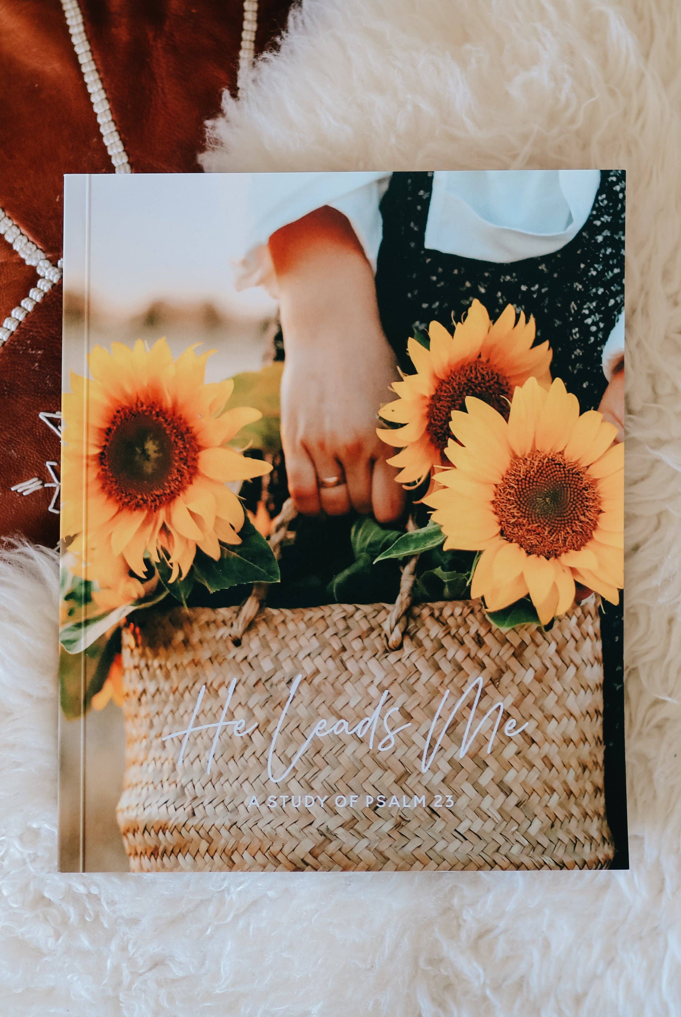 He Leads Me | Psalm 23 { product_type }}