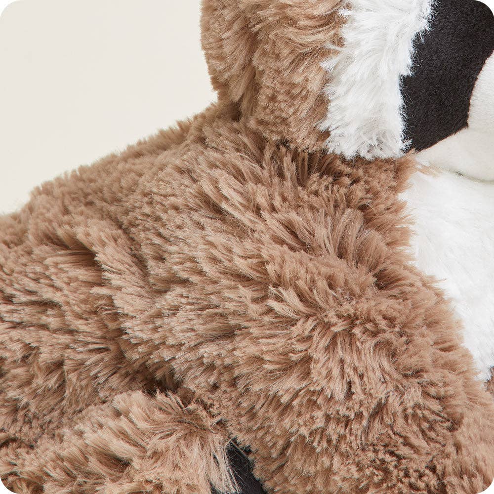 Raccoon Warmies { product_type }}