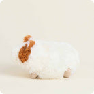 Guinea Pig Warmies Junior { product_type }}