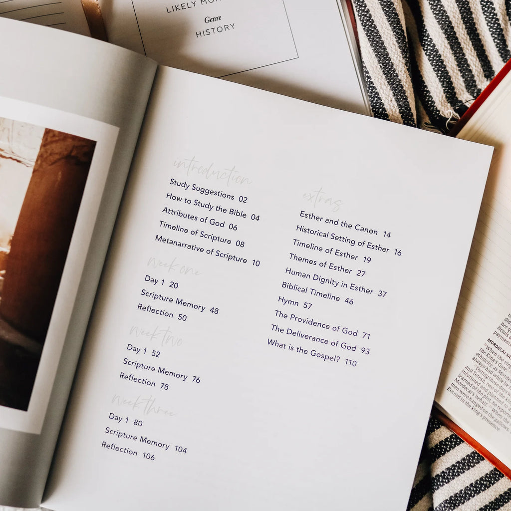 Esther | Seeing God When He Is Silent-Book-The Daily Grace Co-Three Birdies Boutique, Women's Fashion Boutique Located in Kearney, MO