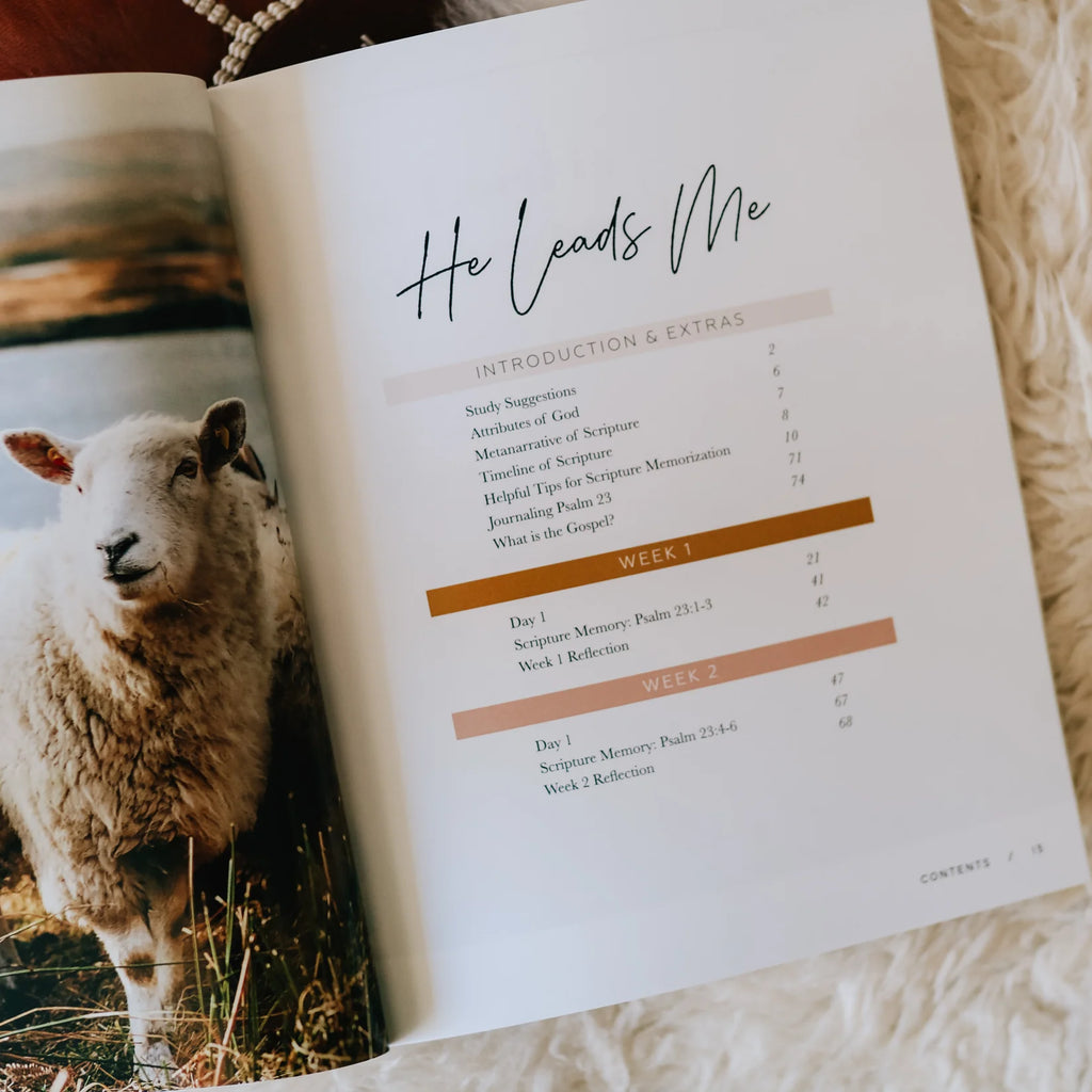 He Leads Me | Psalm 23-Books-The Daily Grace Co-Three Birdies Boutique, Women's Fashion Boutique Located in Kearney, MO