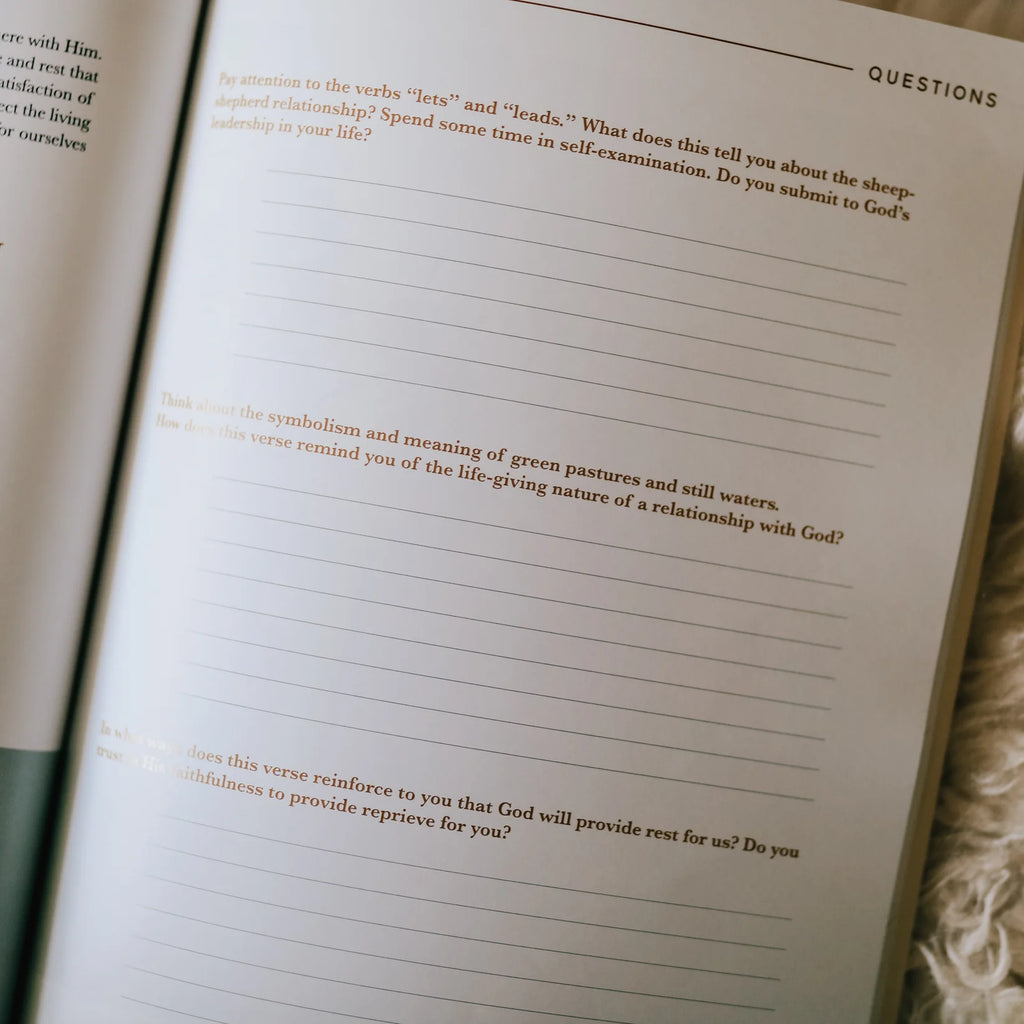 He Leads Me | Psalm 23-Books-The Daily Grace Co-Three Birdies Boutique, Women's Fashion Boutique Located in Kearney, MO