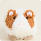 Guinea Pig Warmies Junior { product_type }}