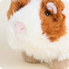 Guinea Pig Warmies Junior { product_type }}