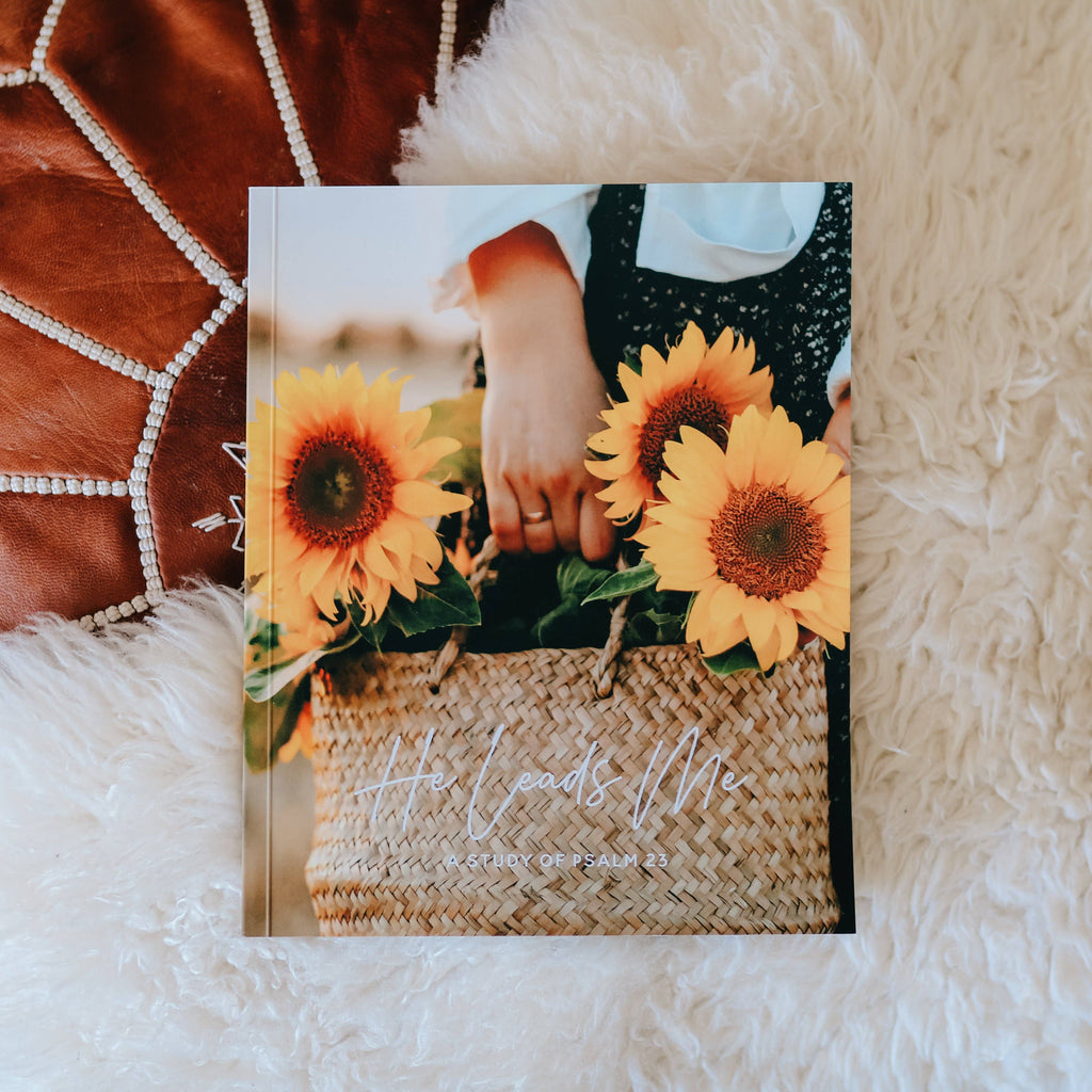 He Leads Me | Psalm 23-Books-The Daily Grace Co-Three Birdies Boutique, Women's Fashion Boutique Located in Kearney, MO